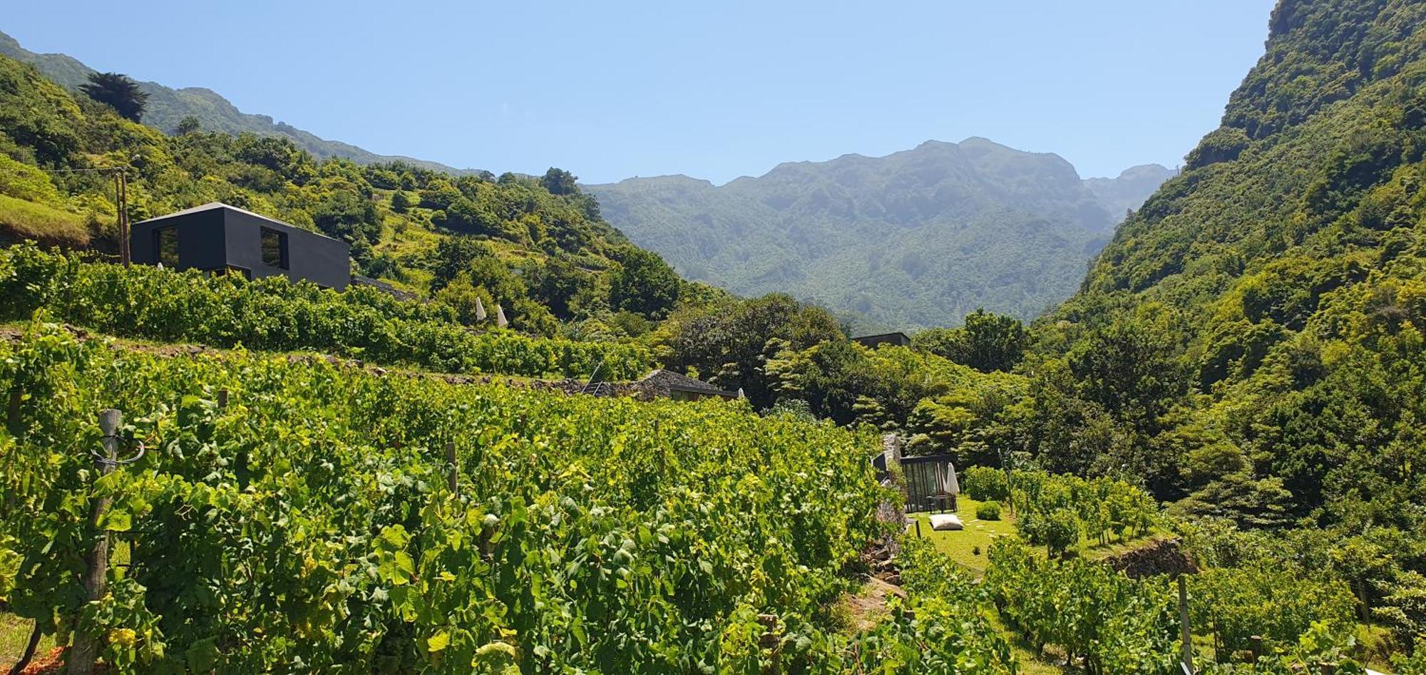 Terrabona Nature & Vineyards Boaventura Exteriör bild